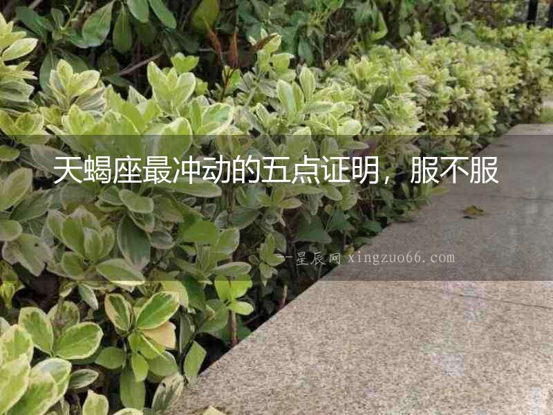 天蝎座最沖動(dòng)的五點(diǎn)證明，服不服