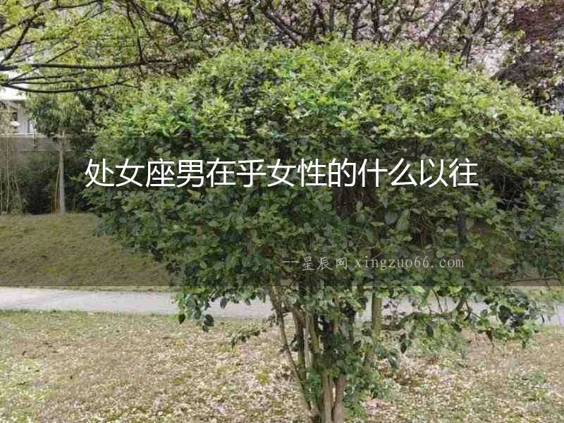 處女座男在乎女性的什么以往
