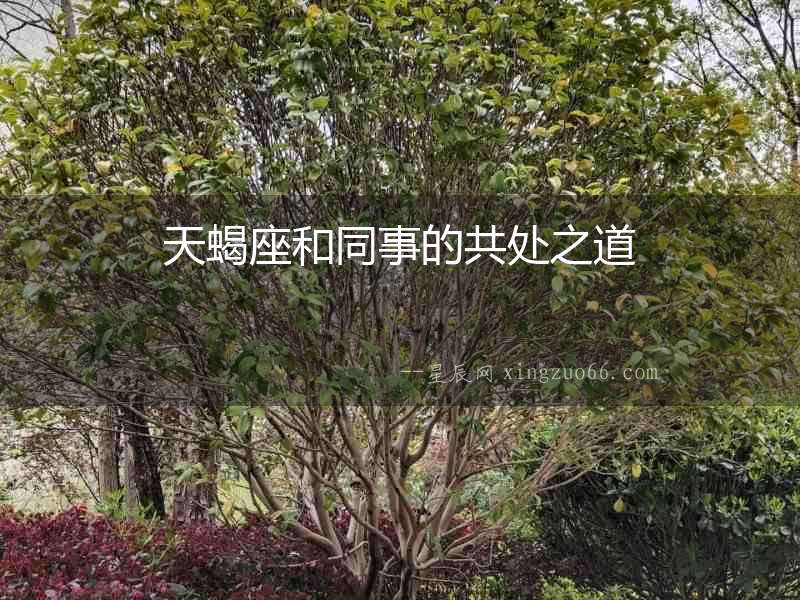 天蝎座和同事的共處之道