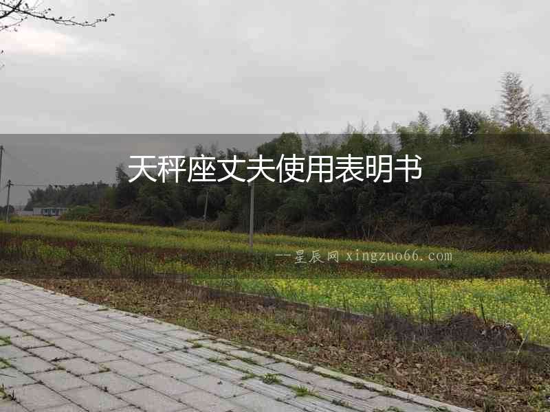 天秤座丈夫使用表明書