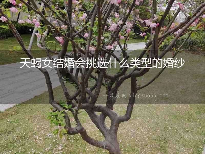天蝎女結婚會挑選什么類型的婚紗