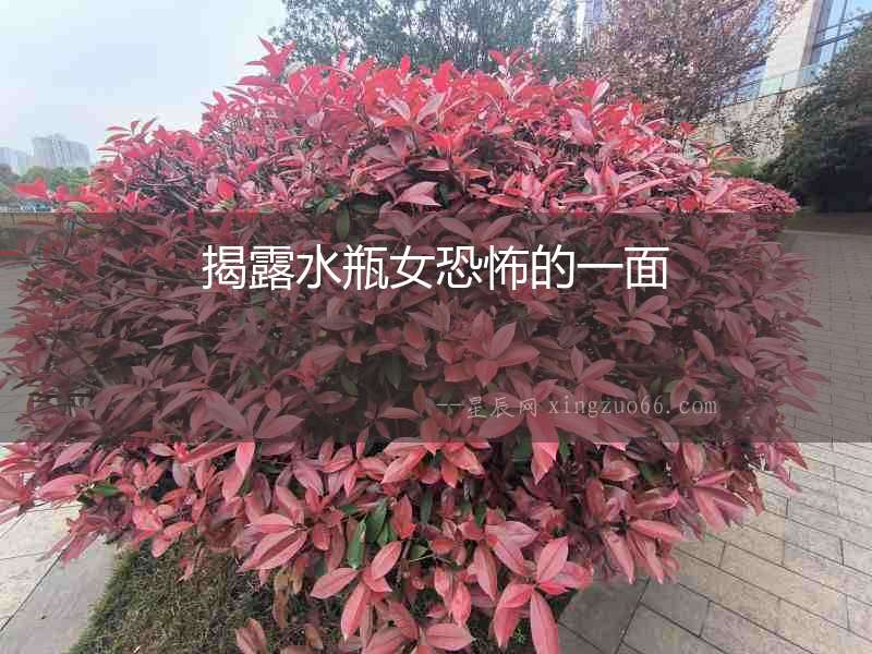 揭露水瓶女恐怖的一面