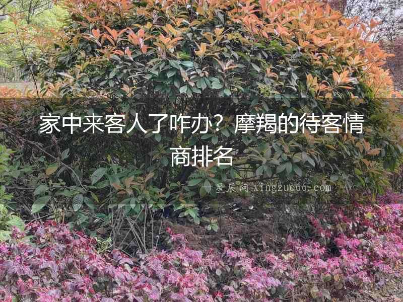家中來客人了咋辦？摩羯的待客情商排名