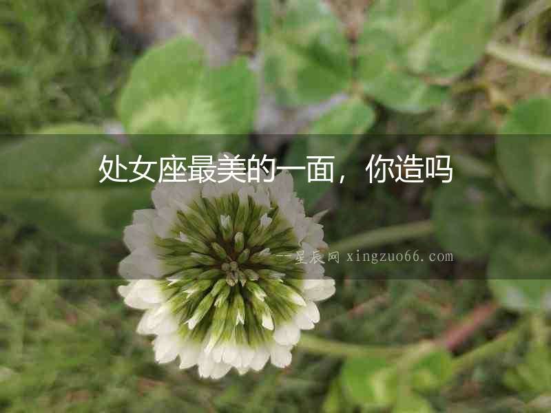 處女座最美的一面，你造嗎