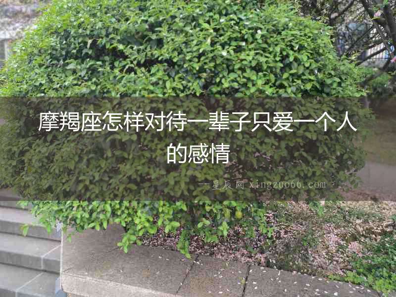 摩羯座怎樣對待一輩子只愛一個人的感情