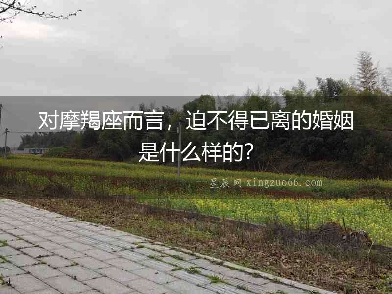對(duì)摩羯座而言，迫不得已離的婚姻是什么樣的？