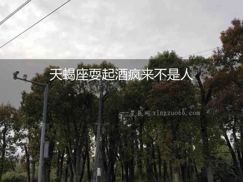 天蝎座耍起酒瘋來不是人