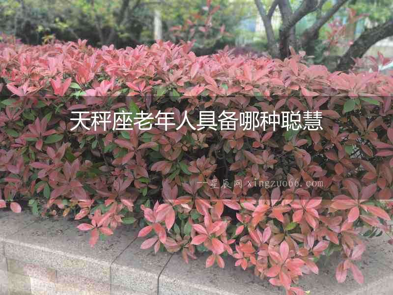 天秤座老年人具備哪種聰慧