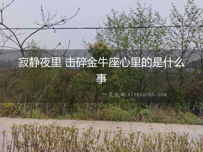 寂靜夜里 擊碎金牛座心里的是什么事