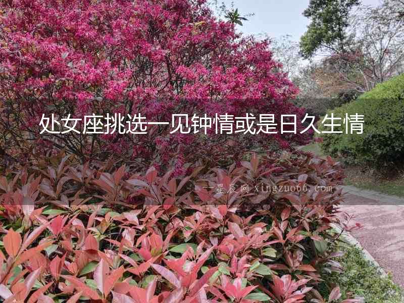 處女座挑選一見鐘情或是日久生情