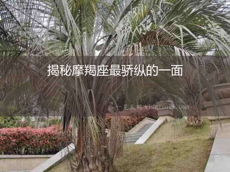 揭秘摩羯座最驕縱的一面