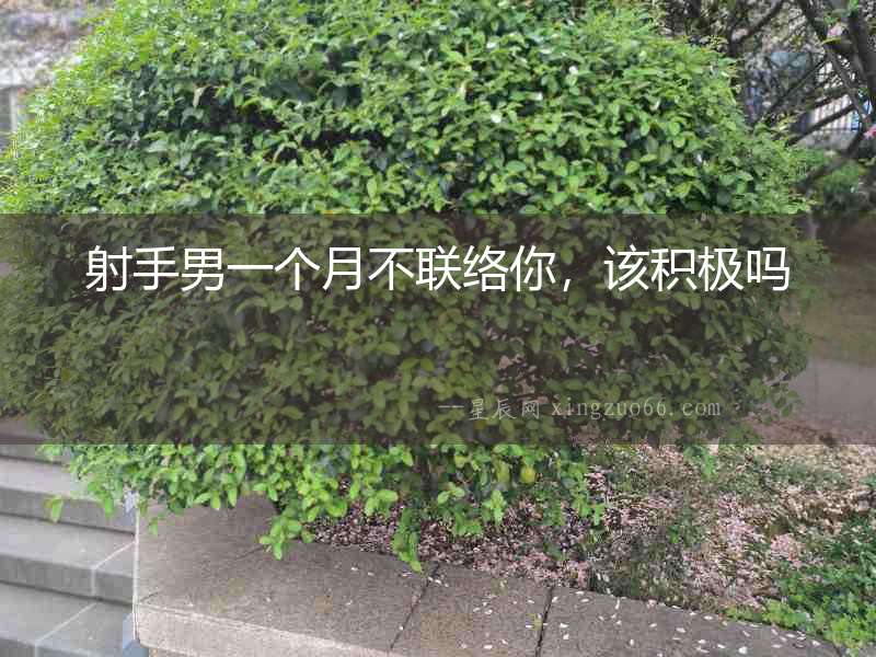 射手男一個月不聯絡你，該積極嗎