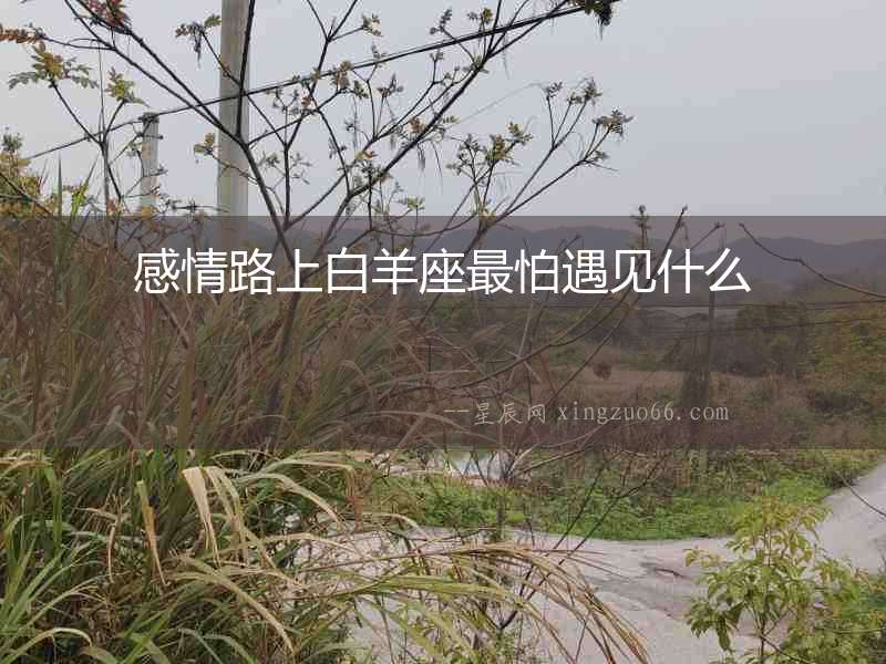感情路上白羊座最怕遇見什么