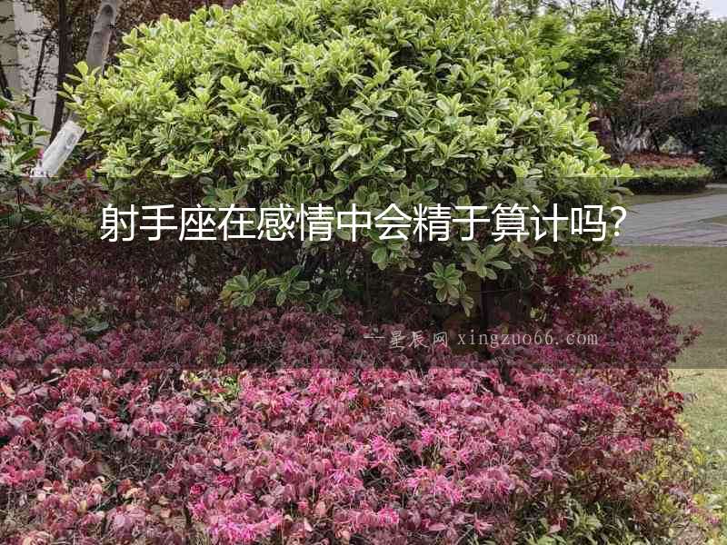 射手座在感情中會精于算計嗎？