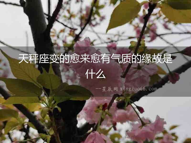 天秤座變的愈來愈有氣質的緣故是什么