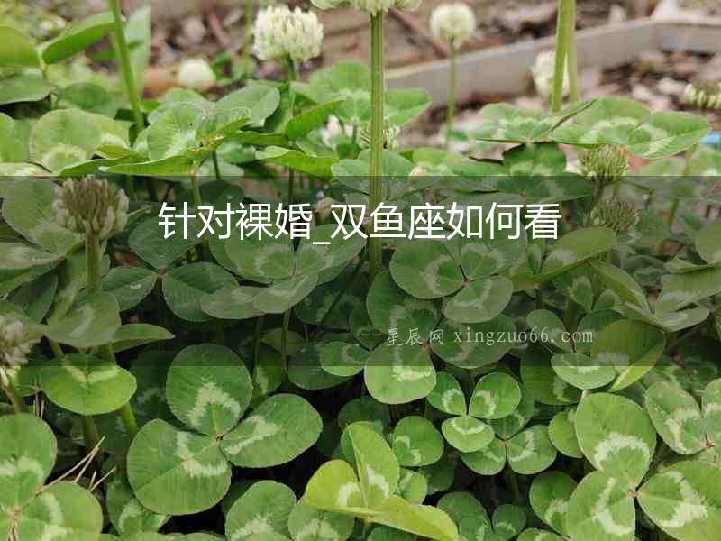 針對(duì)裸婚_雙魚座如何看