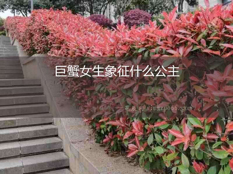 巨蟹女生象征什么公主