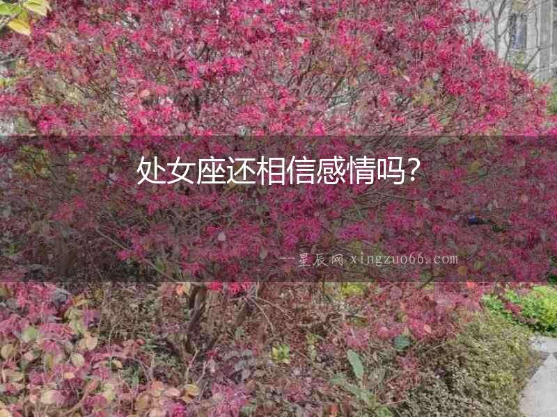 處女座還相信感情嗎？