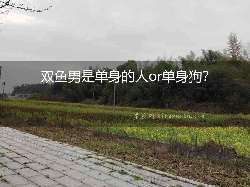 雙魚男是單身的人or單身狗？
