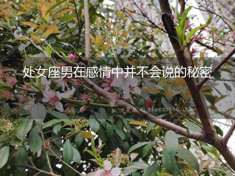 處女座男在感情中并不會說的秘密