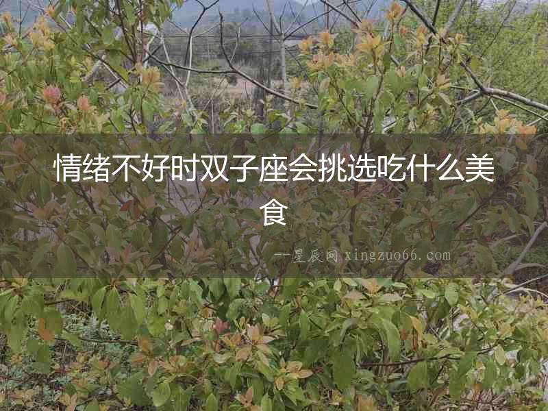 情緒不好時雙子座會挑選吃什么美食