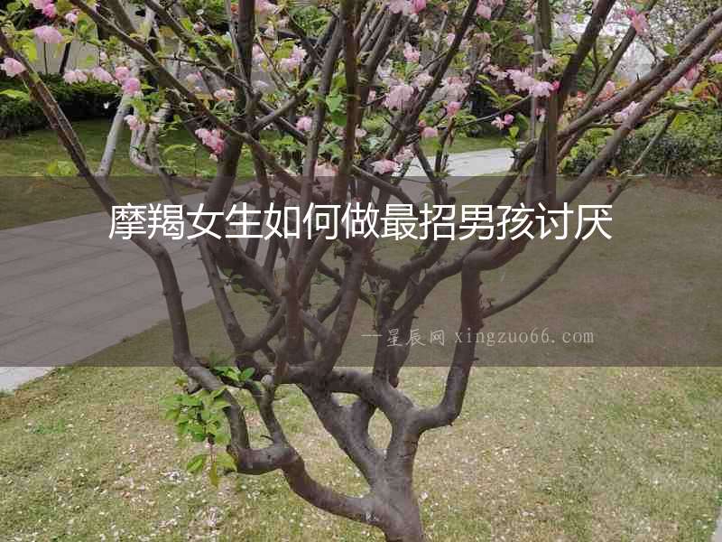 摩羯女生如何做最招男孩討厭