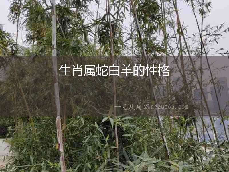 生肖屬蛇白羊的性格