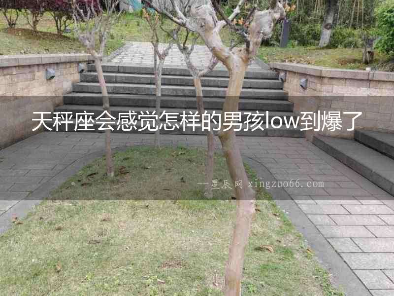 天秤座會感覺怎樣的男孩low到爆了