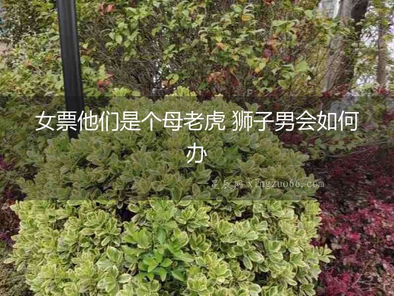 女票他們是個母老虎 獅子男會如何辦