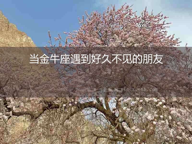 當金牛座遇到好久不見的朋友