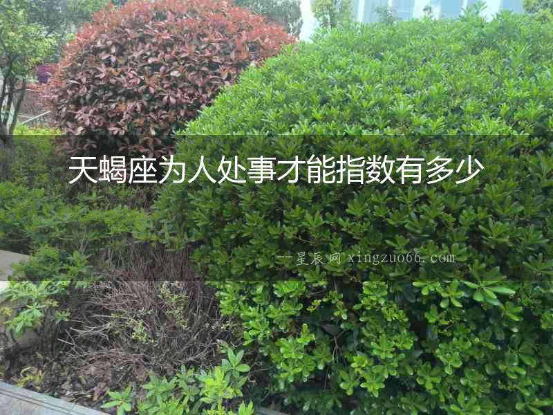 天蝎座為人處事才能指數(shù)有多少