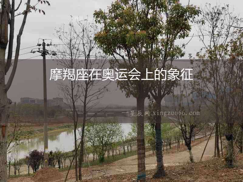 摩羯座在奧運會上的象征