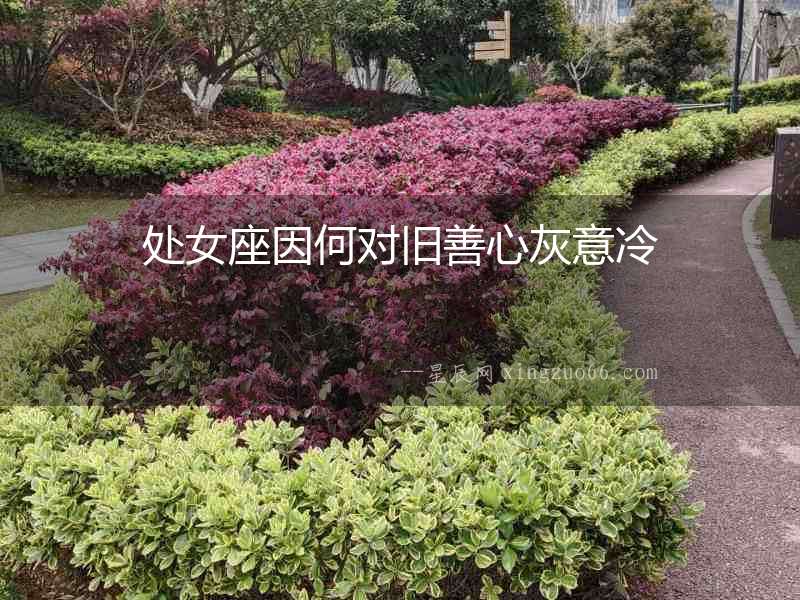 處女座因何對舊善心灰意冷
