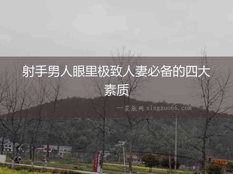 射手男人眼里極致人妻必備的四大素質