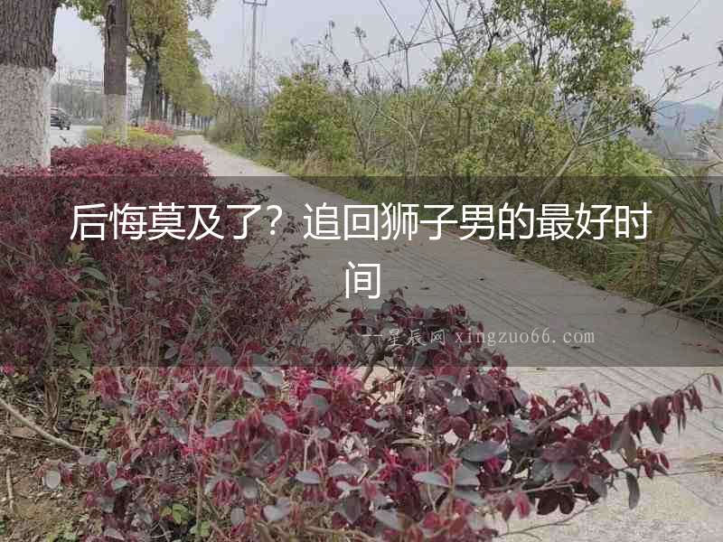 后悔莫及了？追回獅子男的最好時間