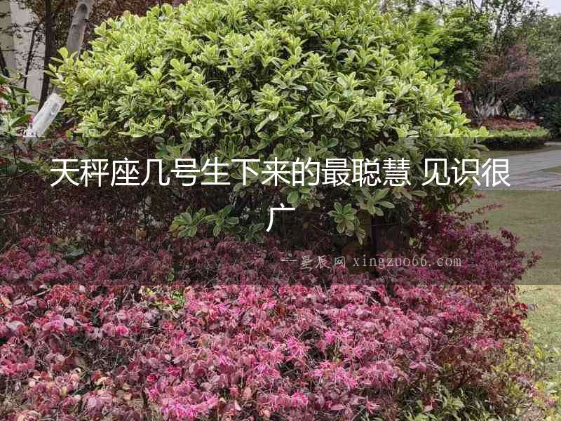 天秤座幾號生下來的最聰慧 見識很廣