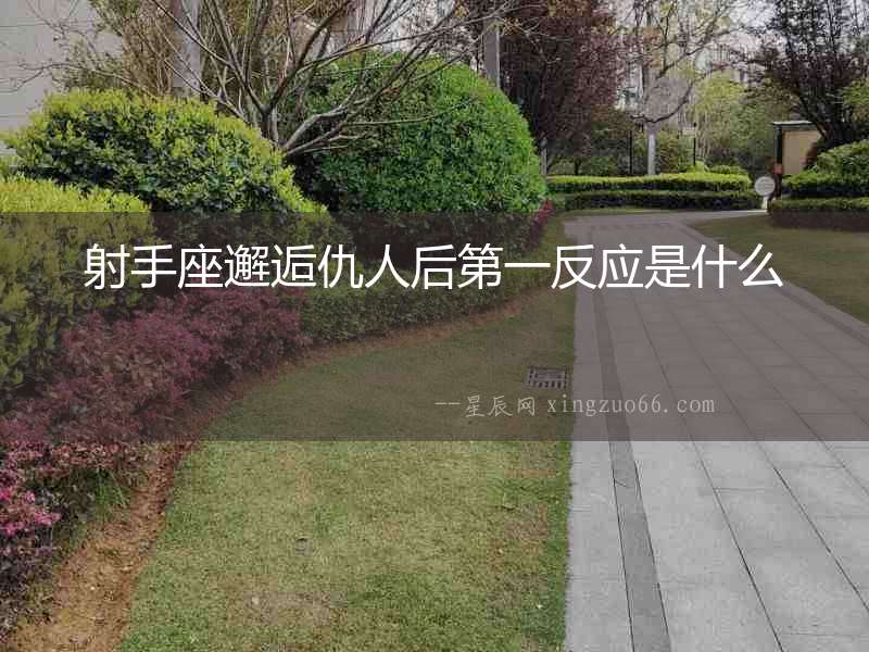 射手座邂逅仇人后第一反應是什么