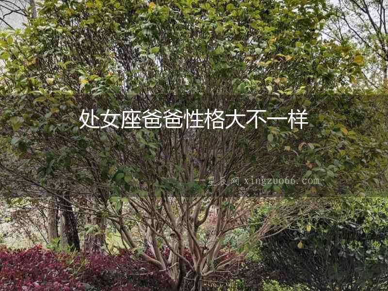 處女座爸爸性格大不一樣