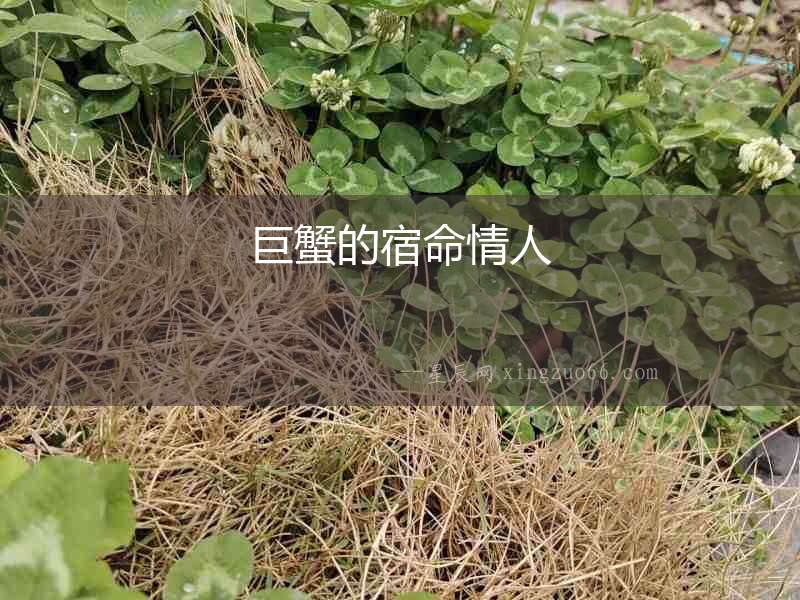 巨蟹的宿命情人