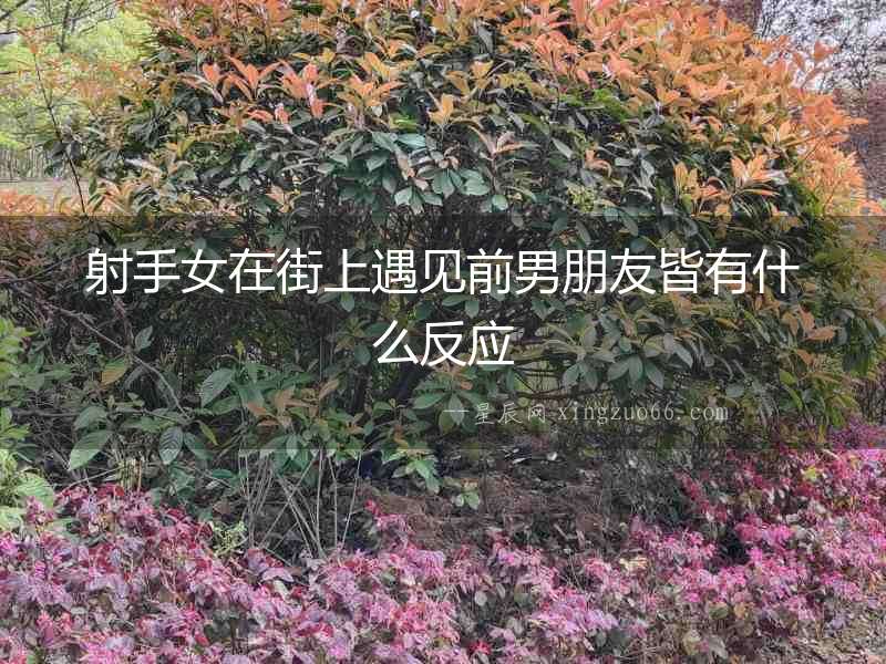 射手女在街上遇見前男朋友皆有什么反應