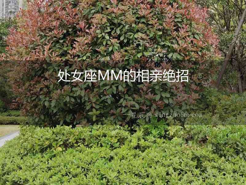 處女座MM的相親絕招