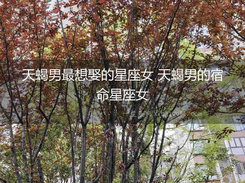 天蝎男最想娶的星座女 天蝎男的宿命星座女