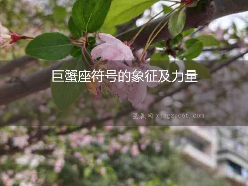 巨蟹座符號的象征及力量