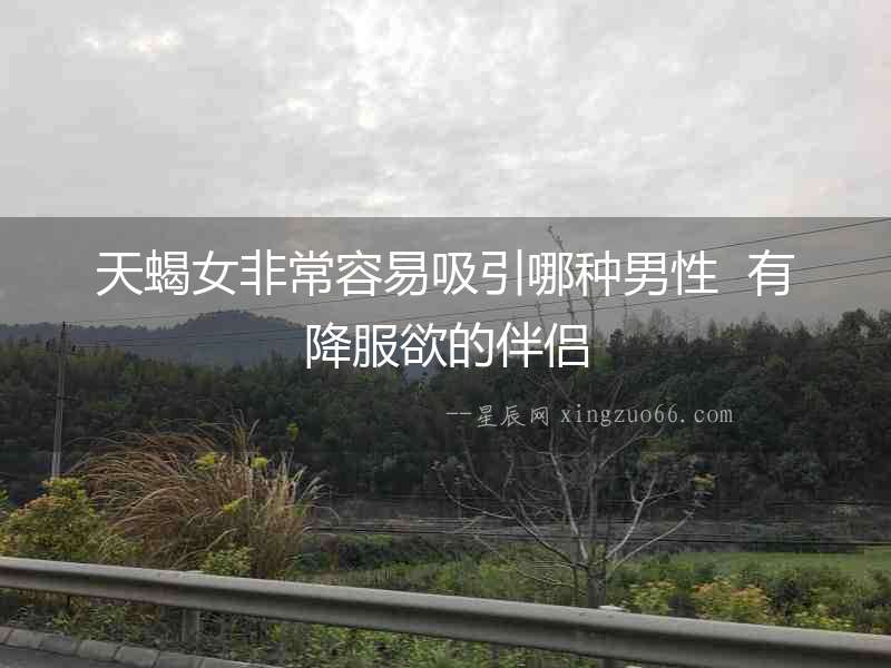 天蝎女非常容易吸引哪種男性  有降服欲的伴侶
