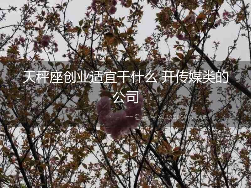 天秤座創業適宜干什么 開傳媒類的公司
