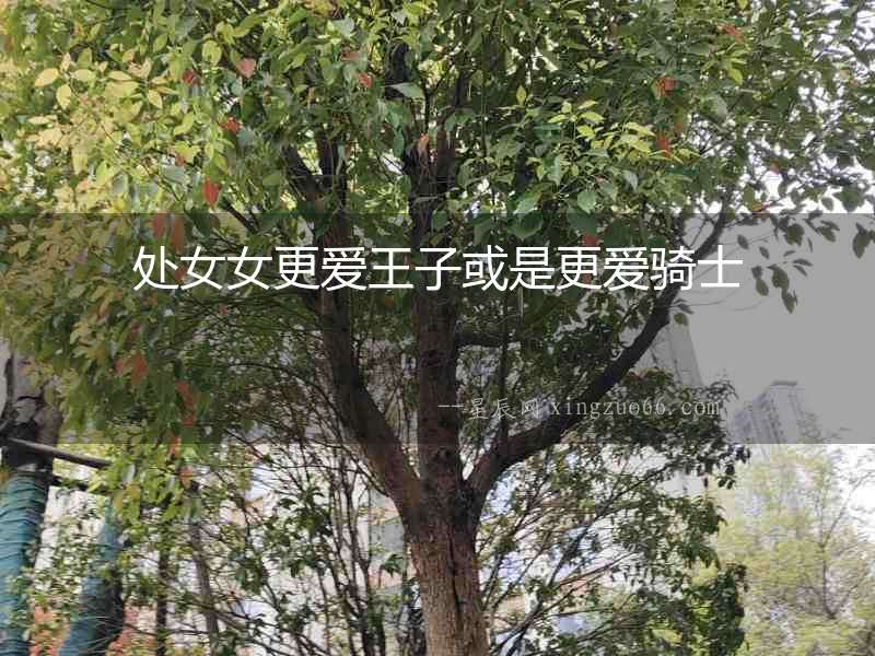 處女女更愛王子或是更愛騎士