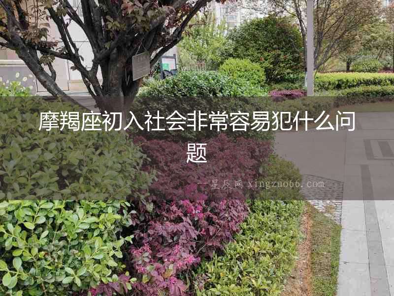 摩羯座初入社會非常容易犯什么問題