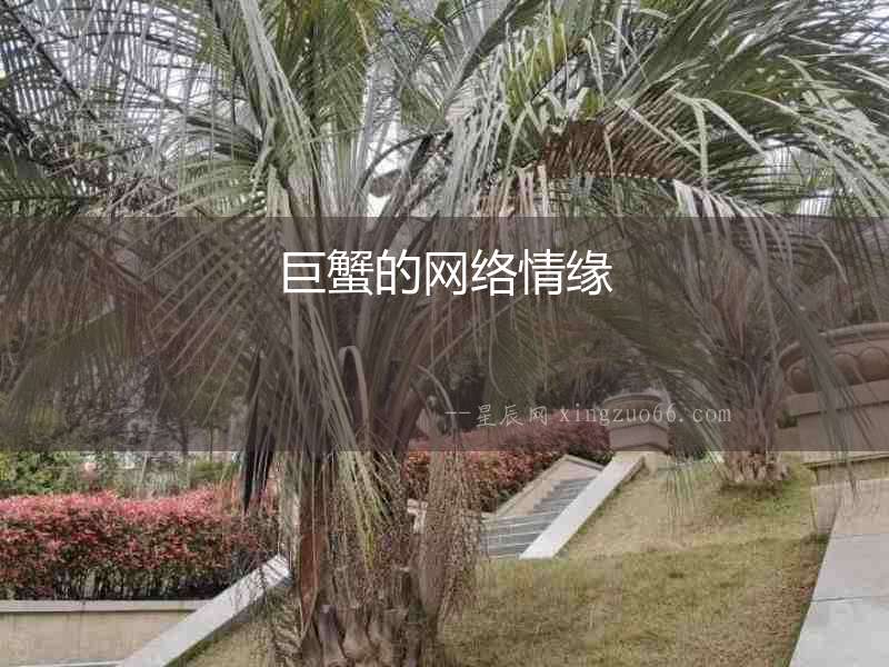 巨蟹的網(wǎng)絡(luò)情緣