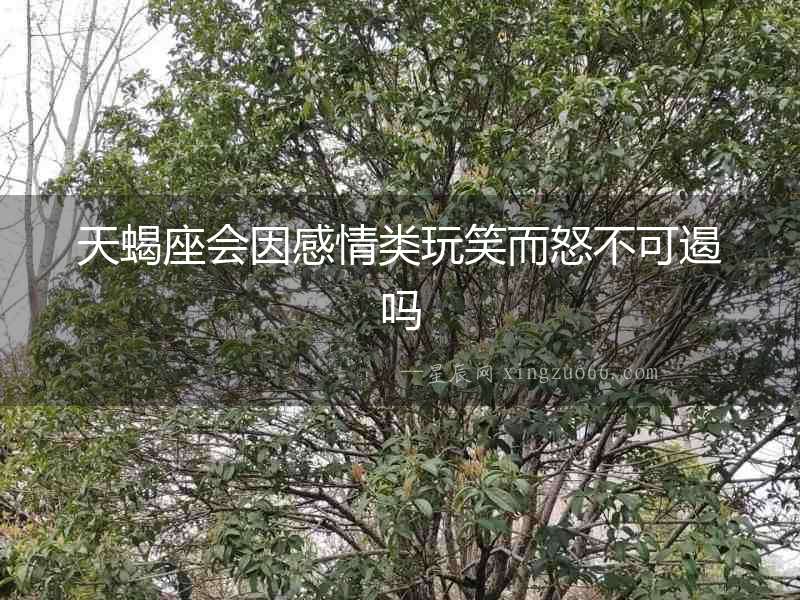 天蝎座會因感情類玩笑而怒不可遏嗎