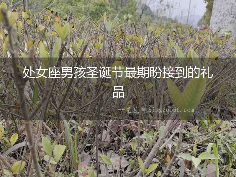 處女座男孩圣誕節(jié)最期盼接到的禮品